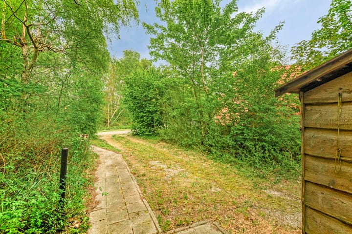 Foto 26 van De Rug 3-164