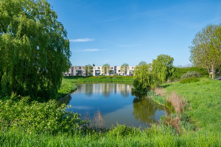 Foto 12 van De Bogaert 18