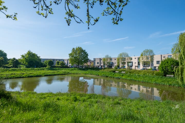 Foto 13 van De Bogaert 18