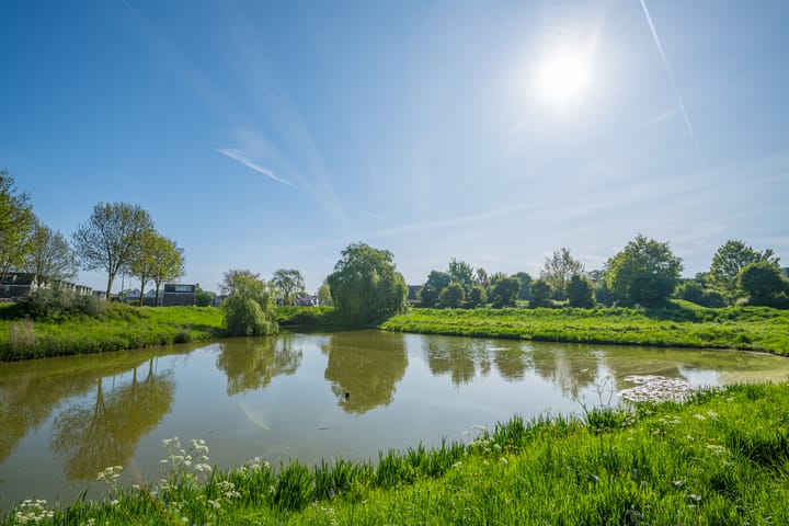 Foto 14 van De Bogaert 18