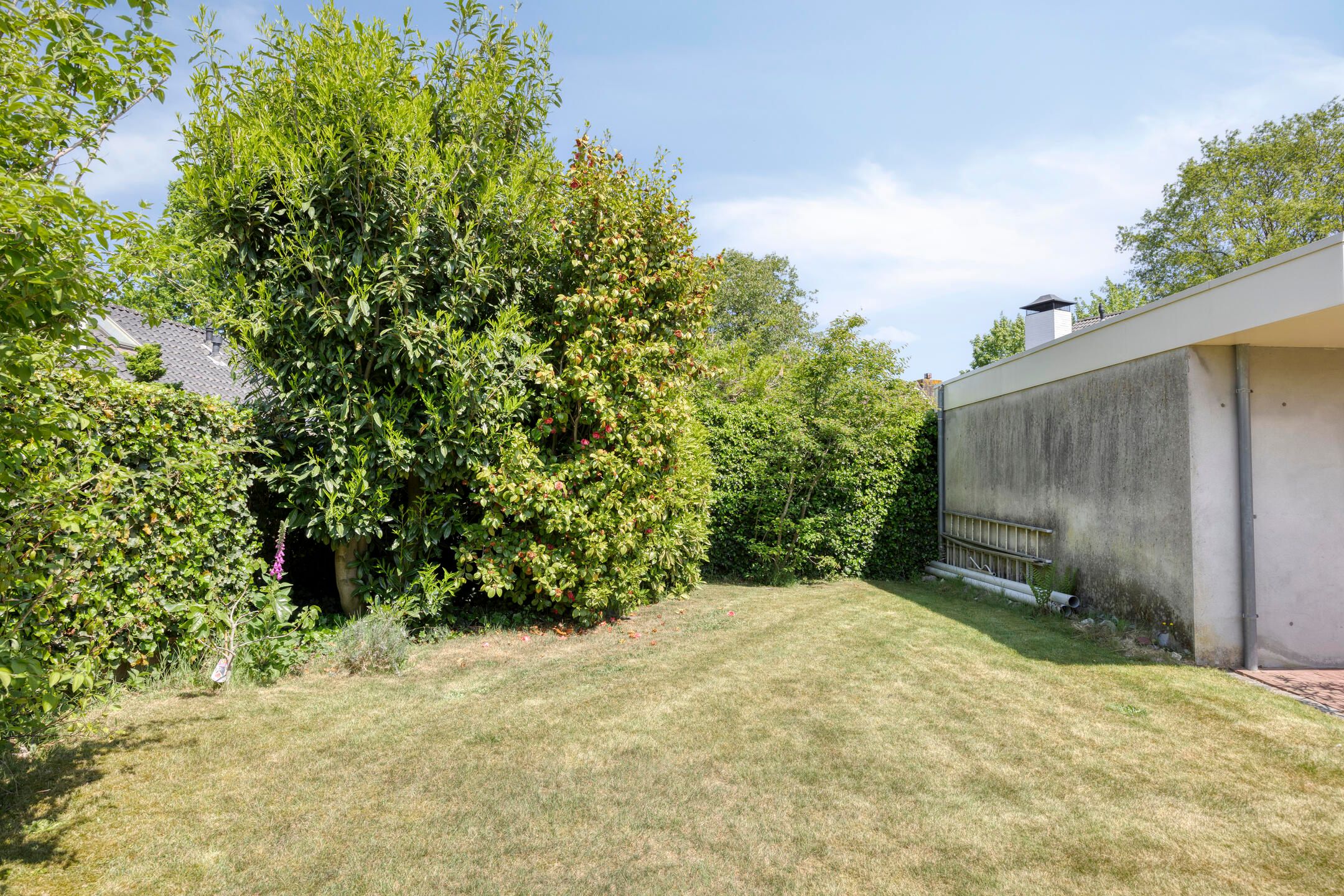 Photo 39 of Reitselaan 65