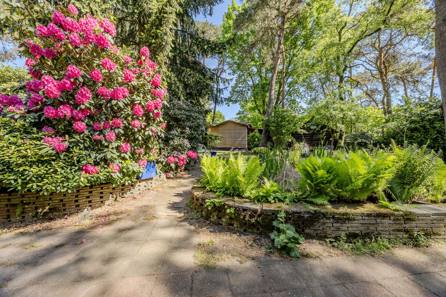 Foto 4 van Erfsebosweg 73