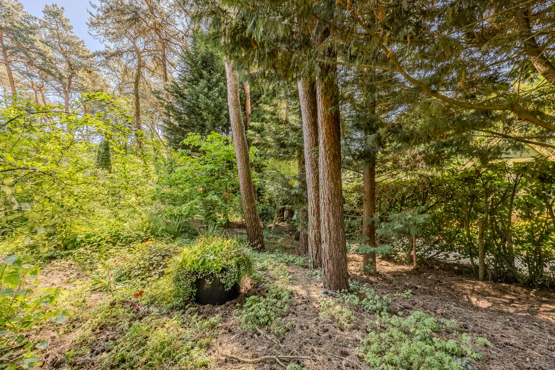 Foto 26 van Erfsebosweg 73