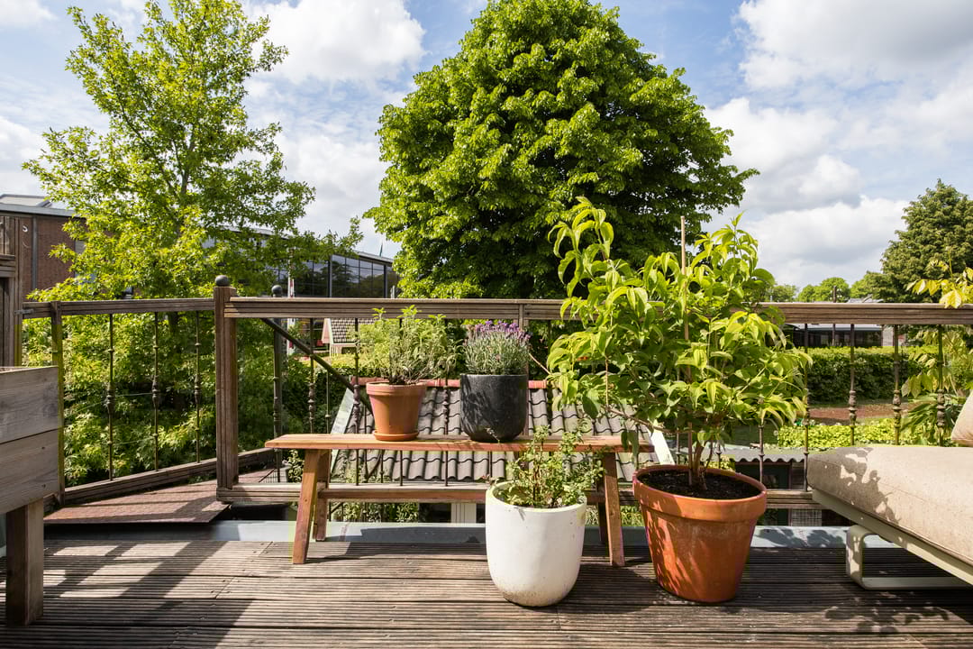 Foto 37 van Bloesemstraat 51