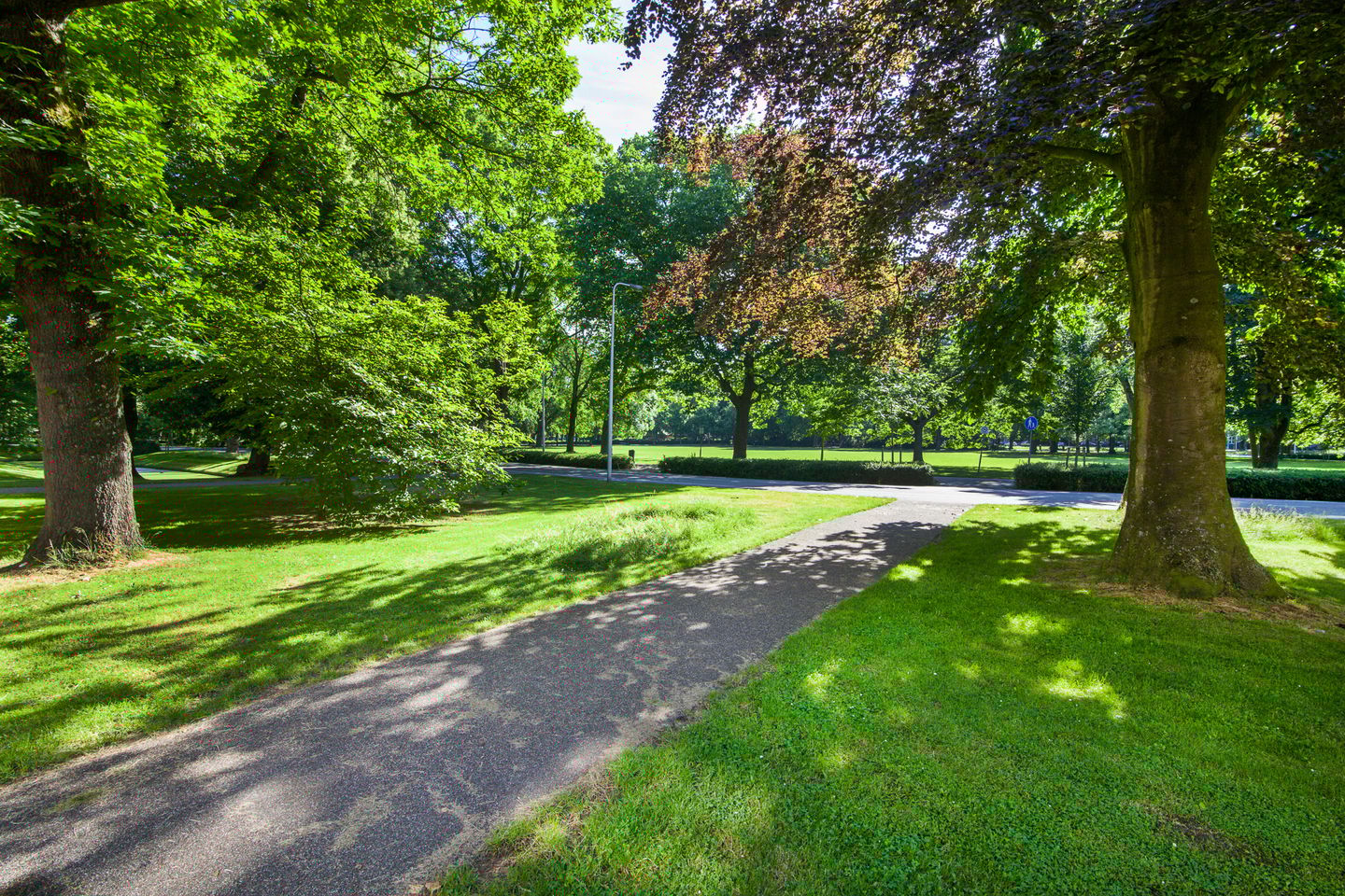 Foto 49 van Bloesemstraat 51