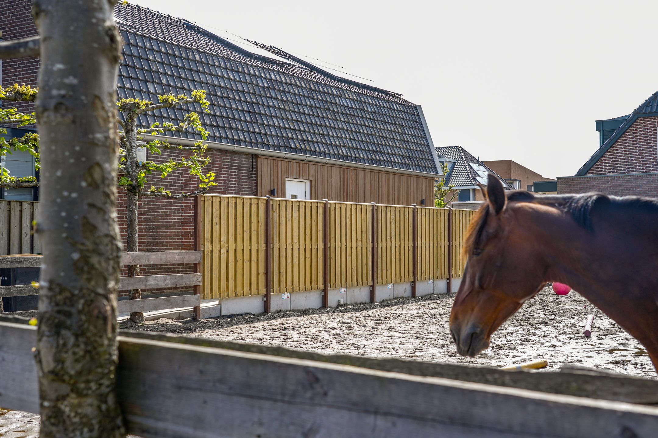 Foto 75 van Zuidwenk 74-B