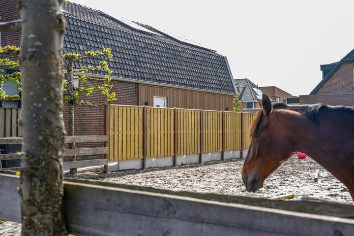 Photo 75 of Zuidwenk 74-B