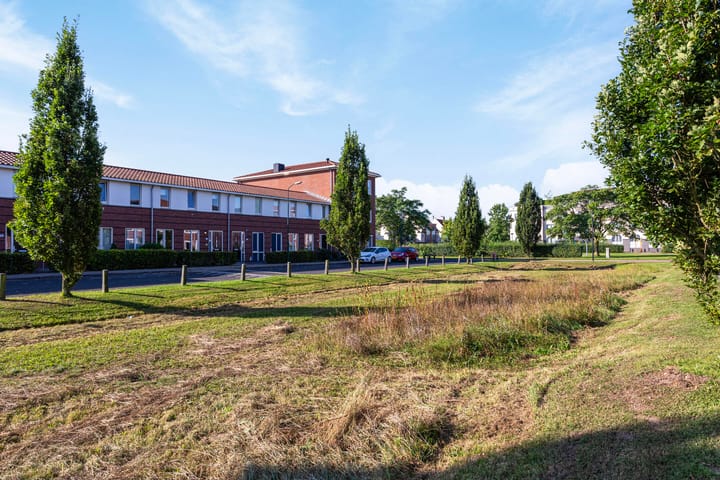 Foto 2 van Remus 150