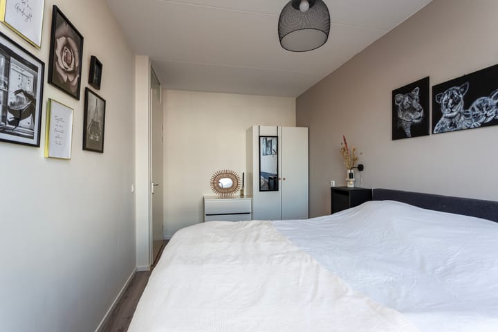 Foto 23 van Remus 150