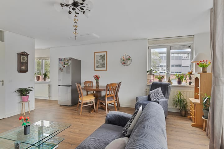 Foto 6 van Pelmolenerf 3