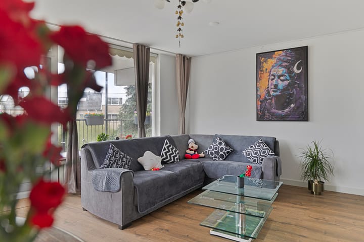 Foto 7 van Pelmolenerf 3