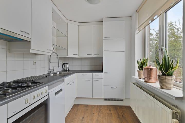 Foto 9 van Pelmolenerf 3