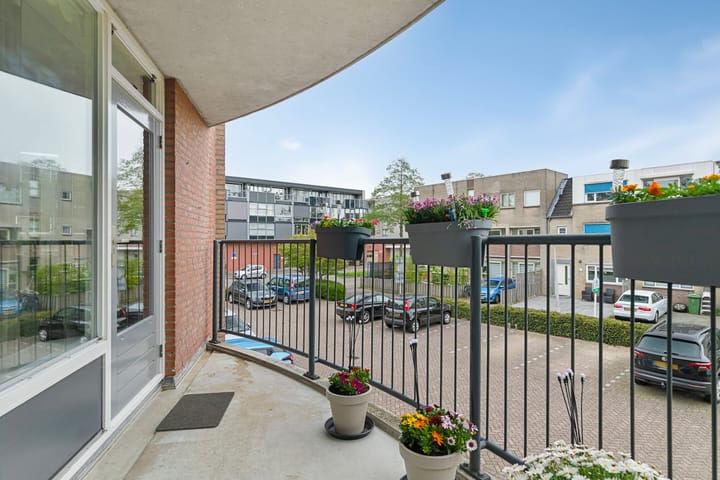 Foto 21 van Pelmolenerf 3