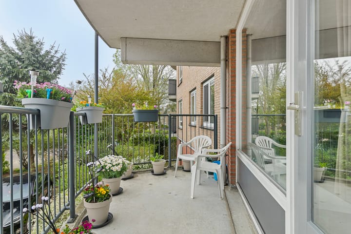 Foto 22 van Pelmolenerf 3