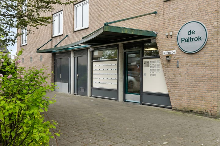 Foto 25 van Pelmolenerf 3