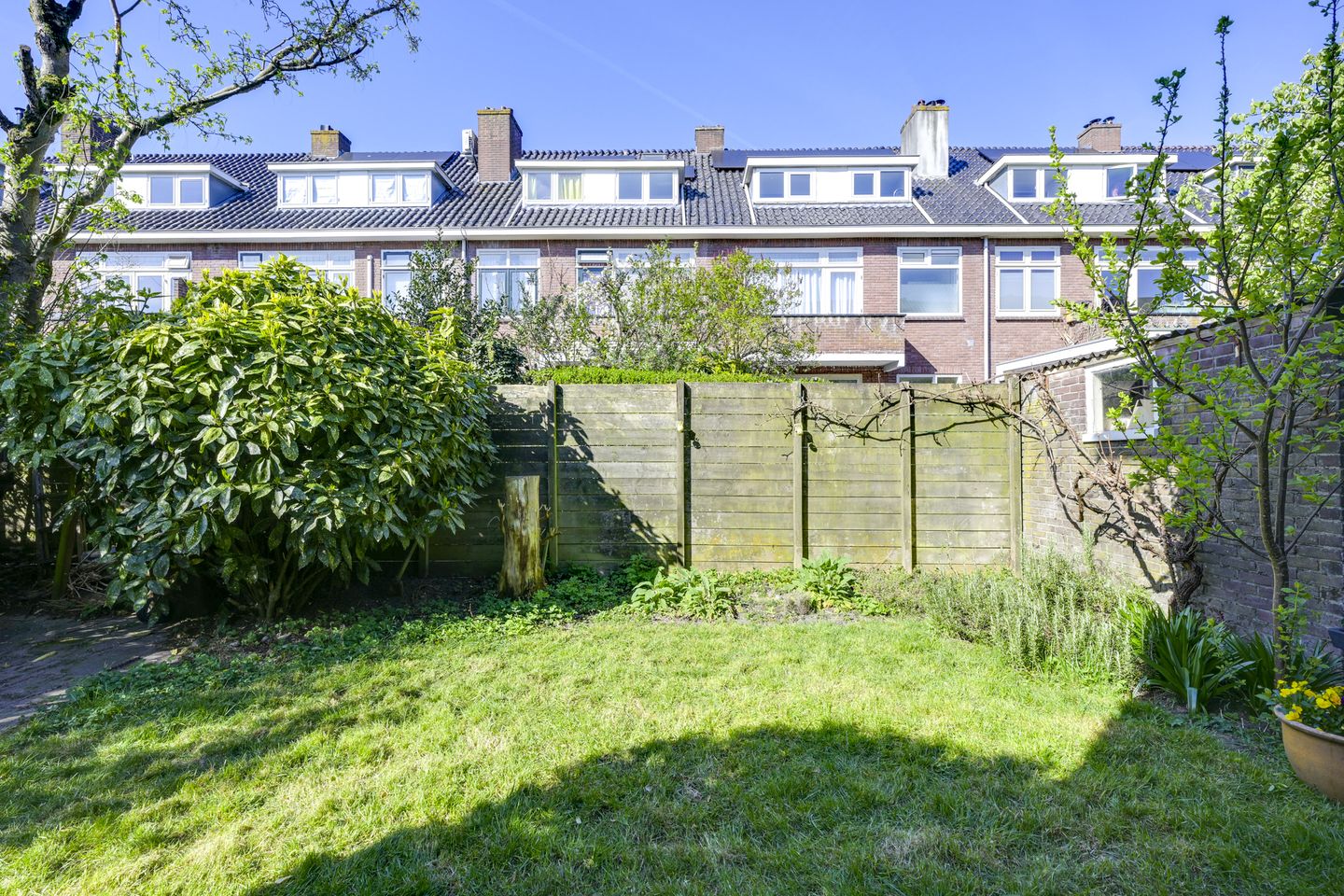 Foto 19 van Pieter de Hooghstraat 51