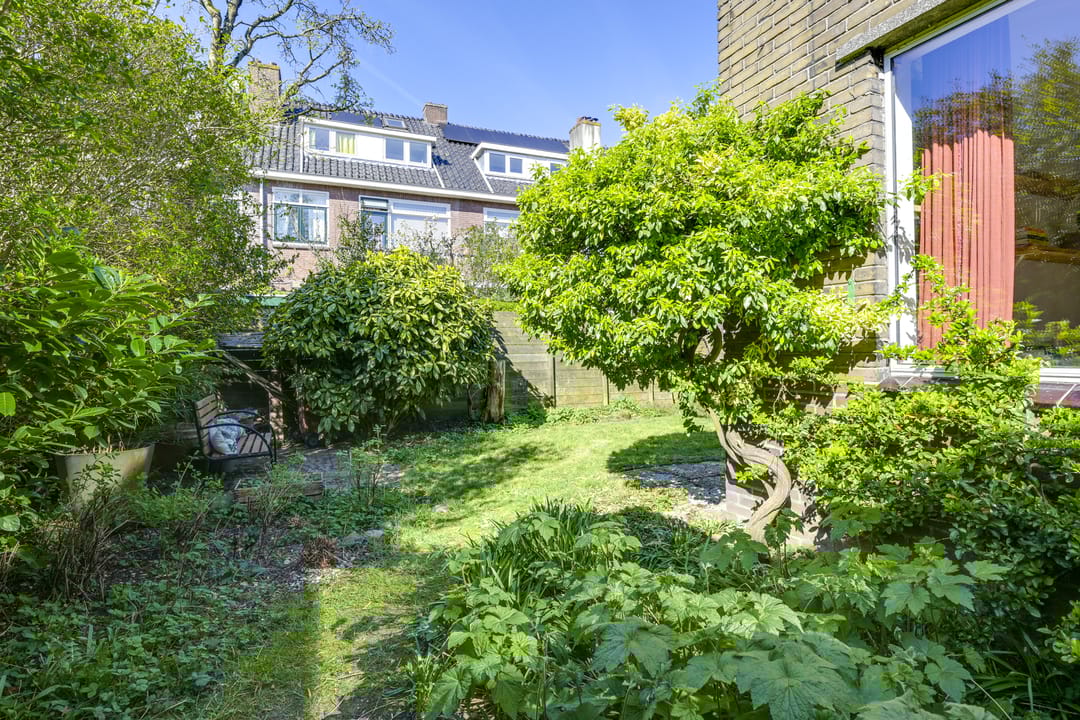 Foto 22 van Pieter de Hooghstraat 51