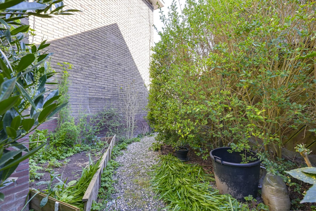 Foto 23 van Pieter de Hooghstraat 51