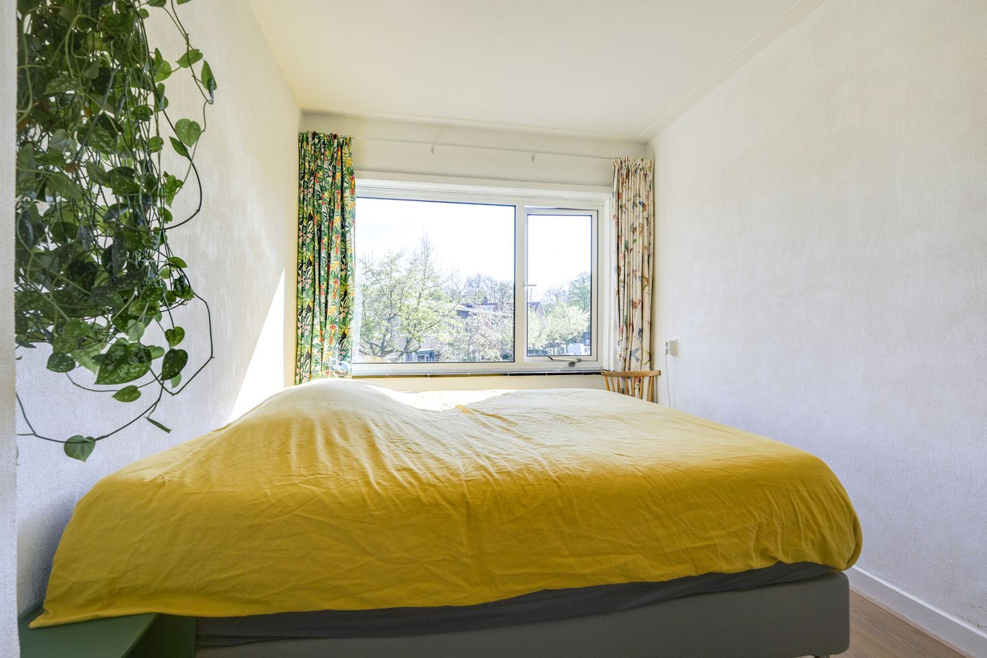 Foto 34 van Pieter de Hooghstraat 51