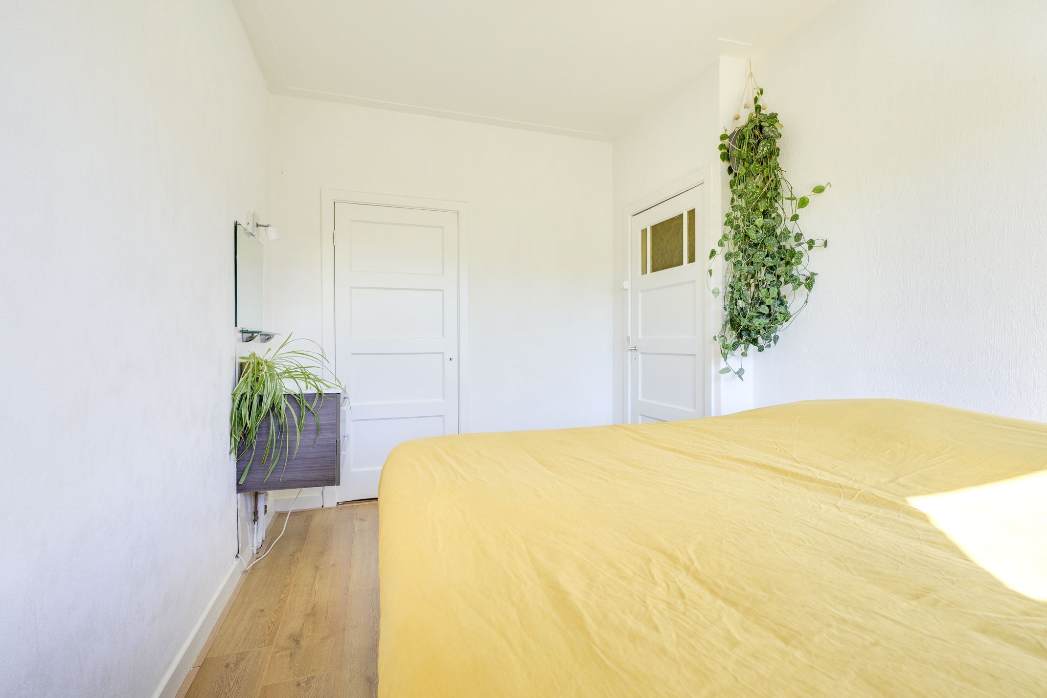 Foto 36 van Pieter de Hooghstraat 51