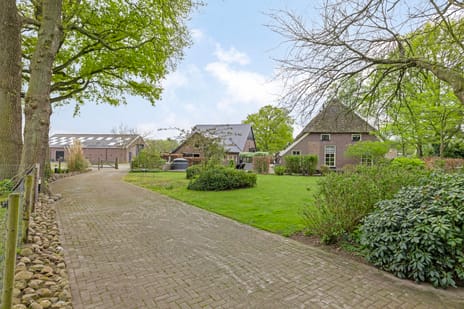 Achterste Erm 1 secondary image