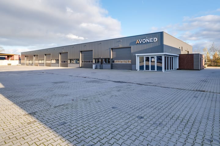 Reedijk 7-N
