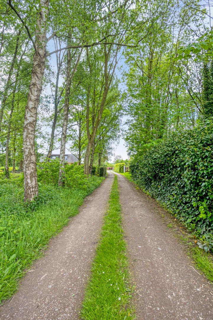 Foto 51 van Bruuk 93