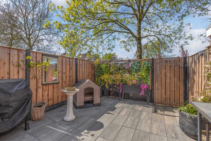 Foto 36 van De Leeuw 25