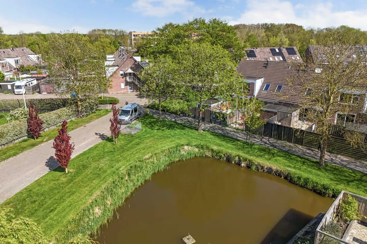 Foto 48 van De Leeuw 25