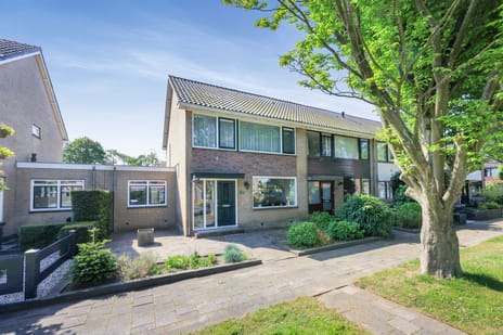 undefined main image