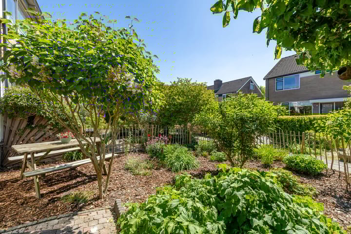 Foto 5 van Nijenoertweg 103