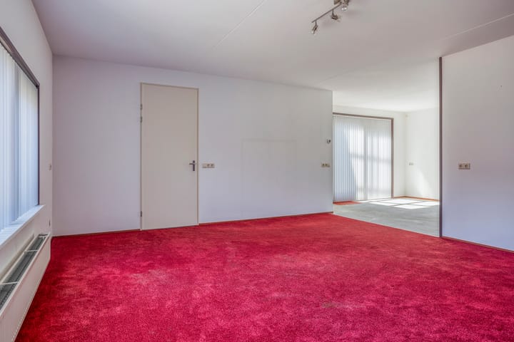 Foto 3 van Roerdomp 12