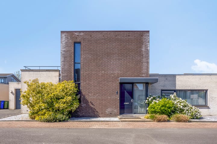 Foto 5 van Roerdomp 12