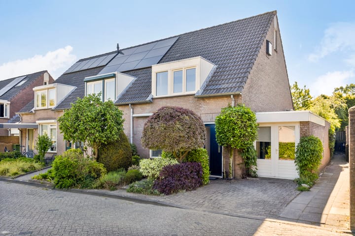 Foto 1 van Biggekruid 2