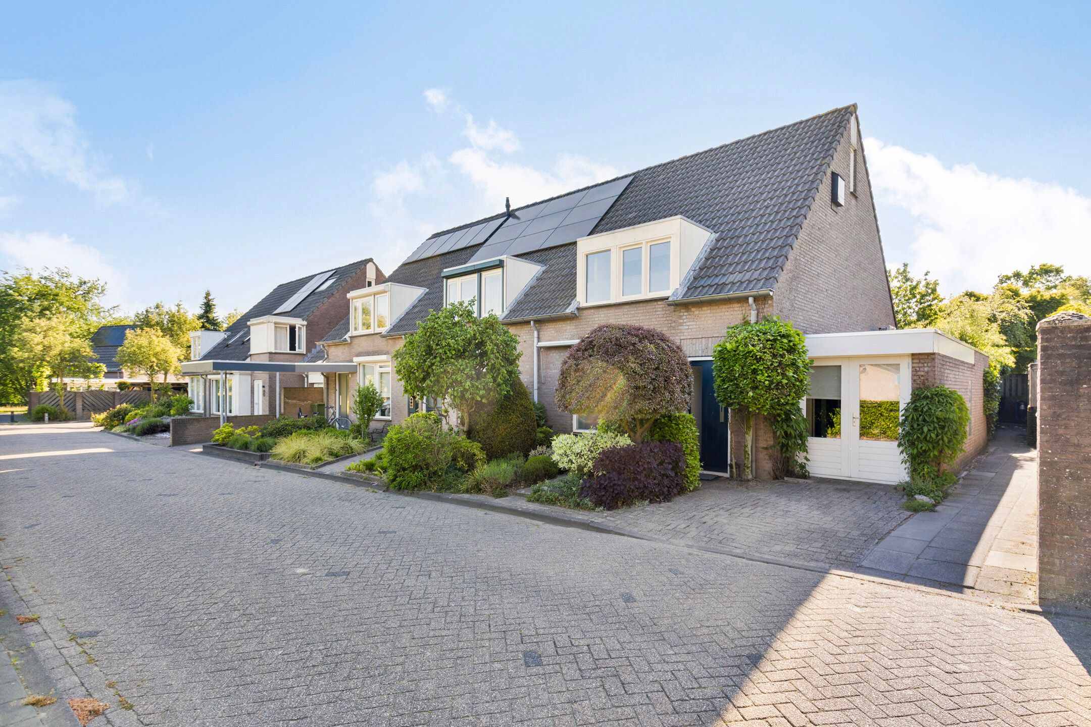 Foto 3 van Biggekruid 2