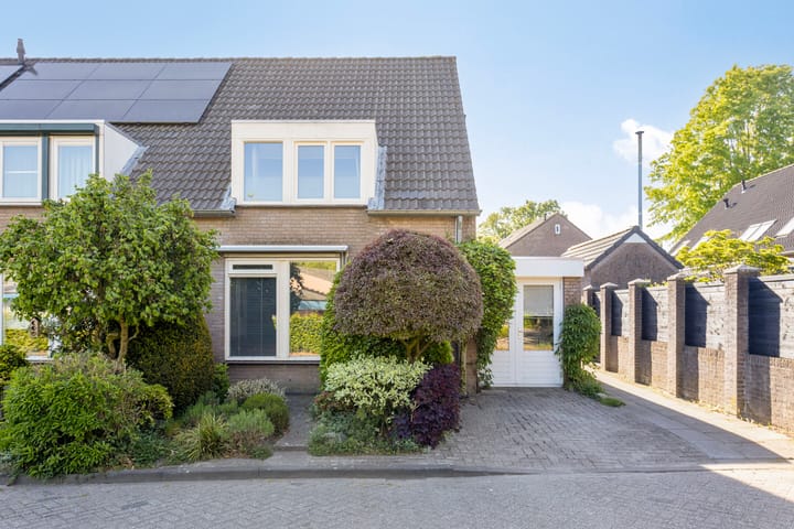 Foto 4 van Biggekruid 2