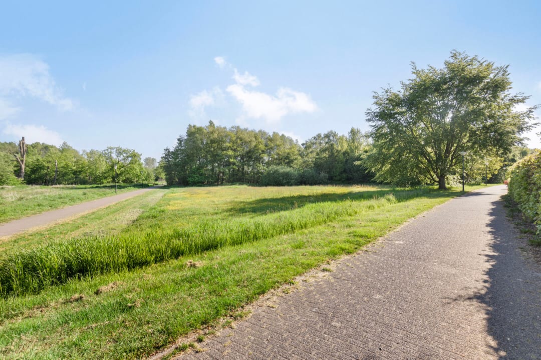 Foto 43 van Biggekruid 2