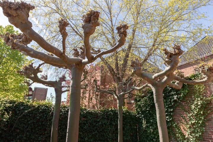 Foto 26 van Vissersdijk 15