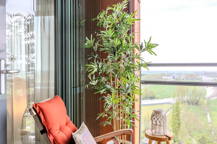 Foto 29 van Delftse Jaagpad 38