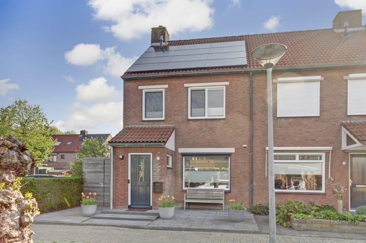 Foto 34 van Hoefblad 106