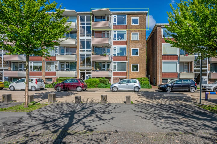 Adriaan van Ostadestraat 39 main image