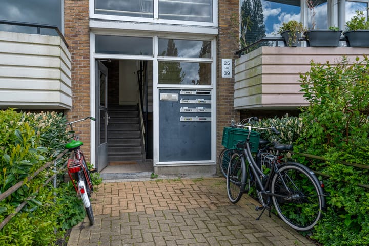 Foto 4 van Adriaan van Ostadestraat 39