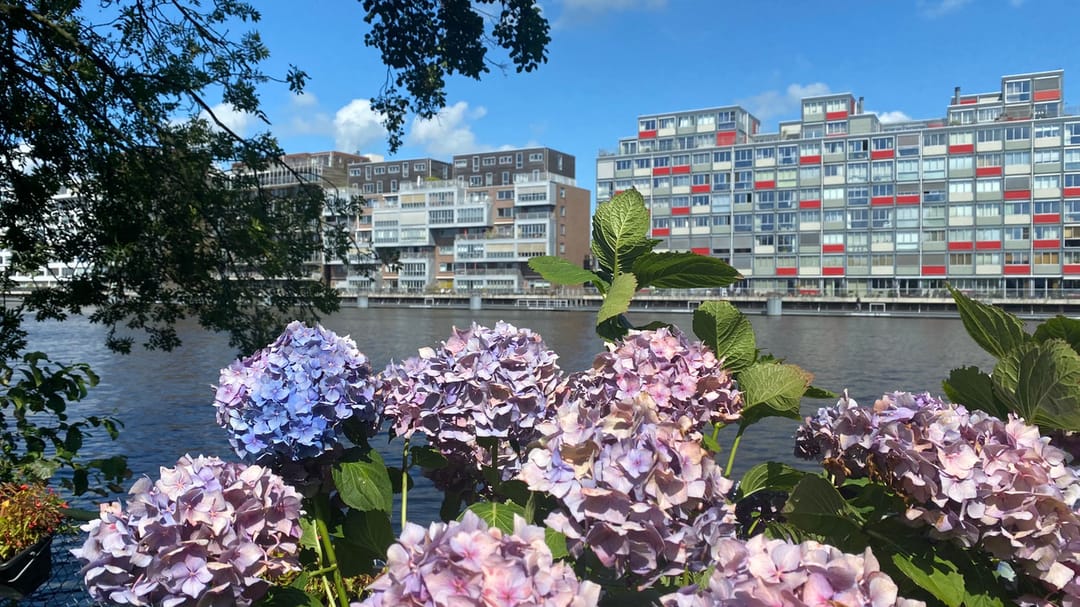 Photo 37 of Het Dok 12