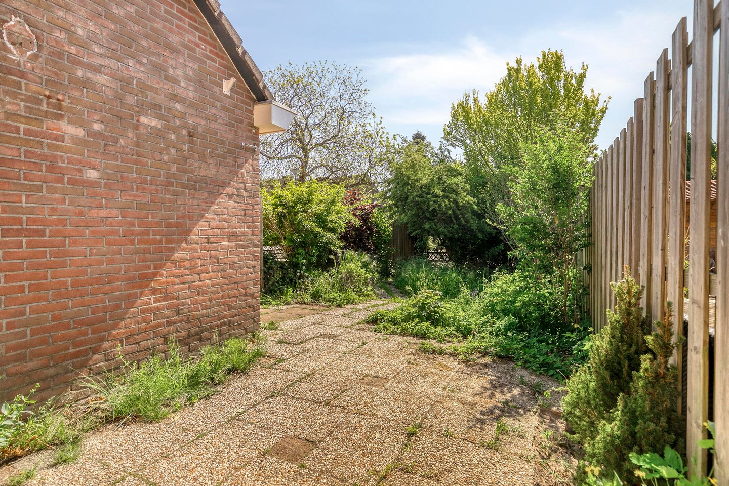 Foto 5 van Rode Klaver 19