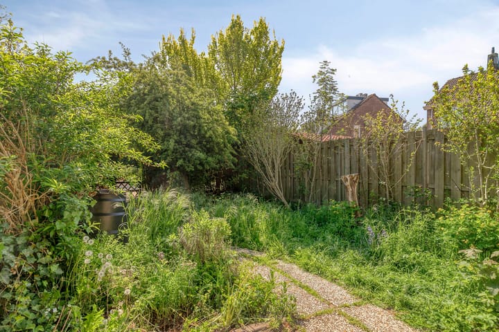 Foto 8 van Rode Klaver 19