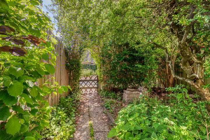 Foto 9 van Rode Klaver 19