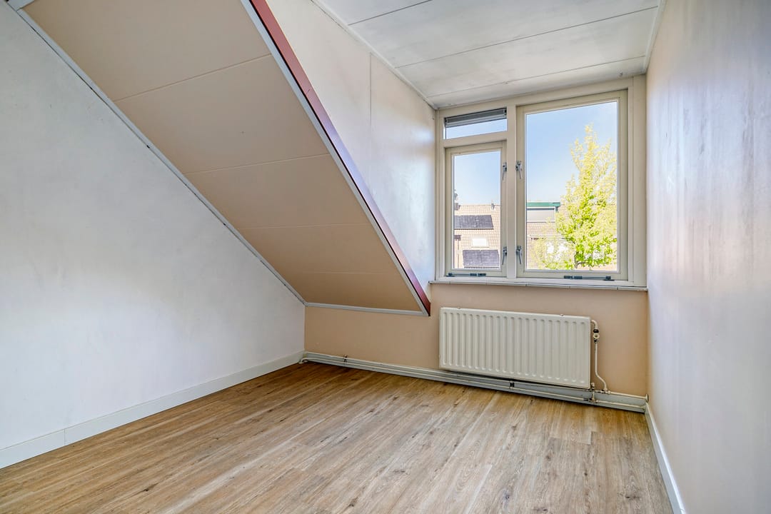 Foto 16 van Rode Klaver 19