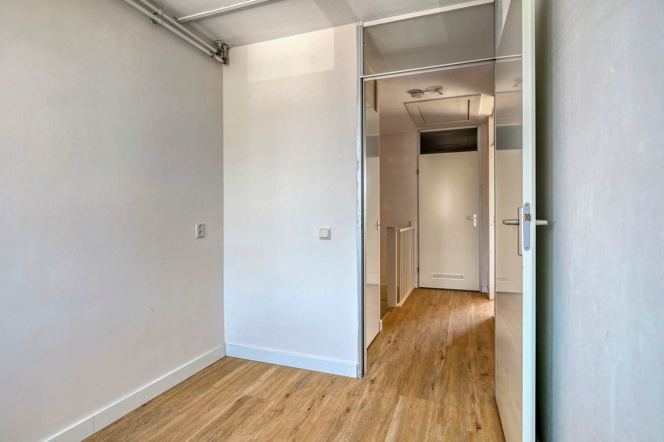 Foto 18 van Rode Klaver 19