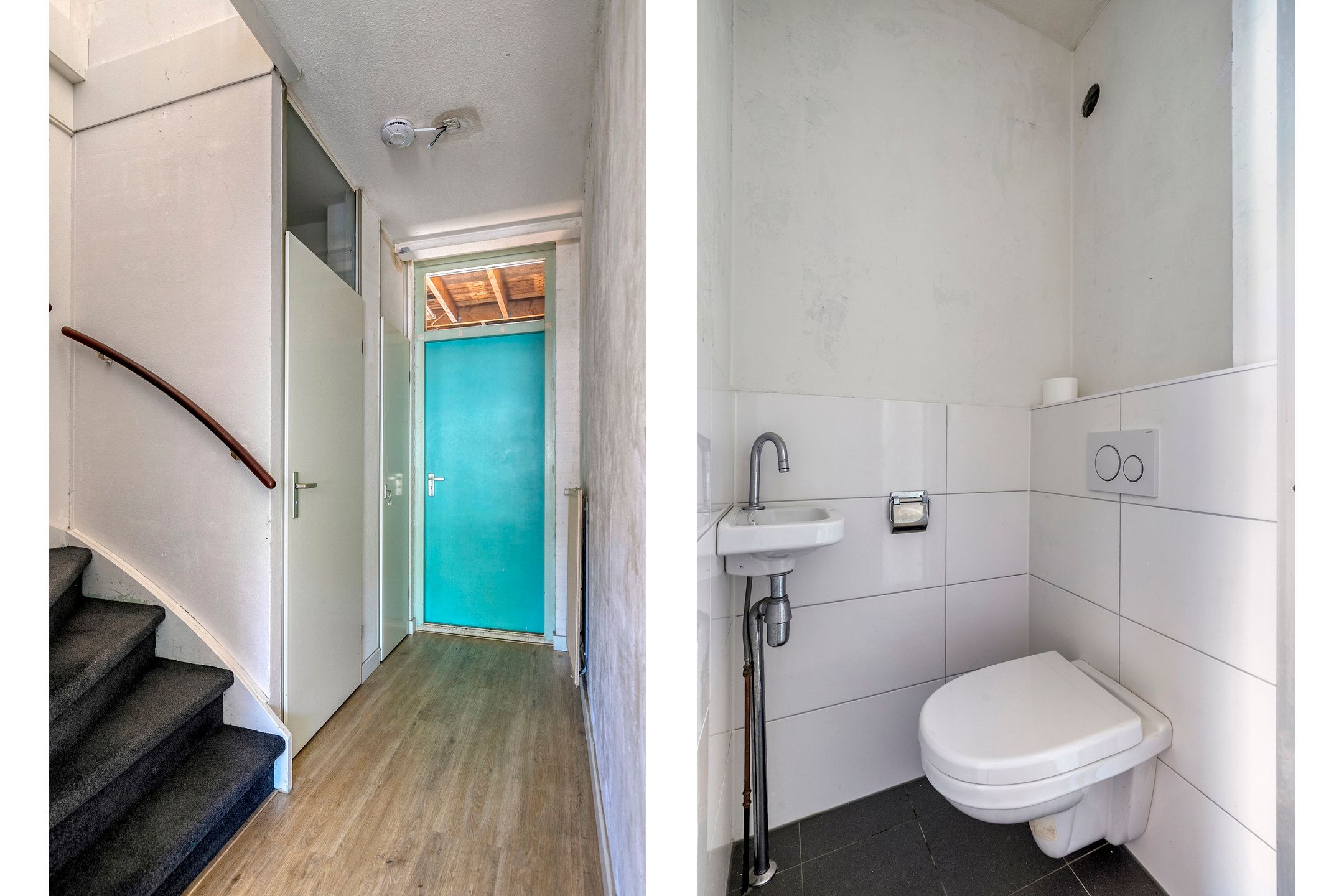 Foto 24 van Rode Klaver 19