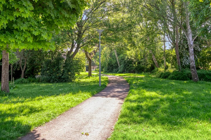 Foto 32 van Rode Klaver 19